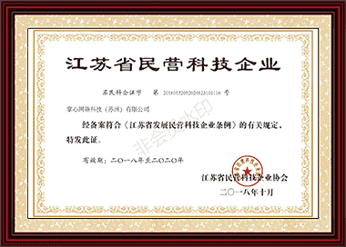 江苏省民营科技企业|掌心科技